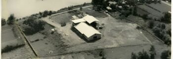 1955 – Beginning with adhesive for plywood and alkyds for paints